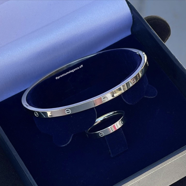 Bracelet + Bag CRTIER Acier Silver
